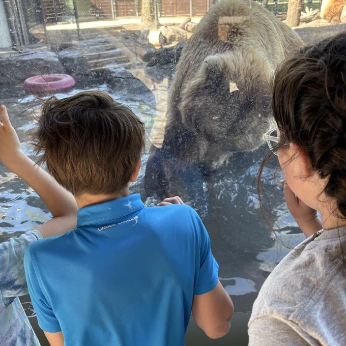 zoo