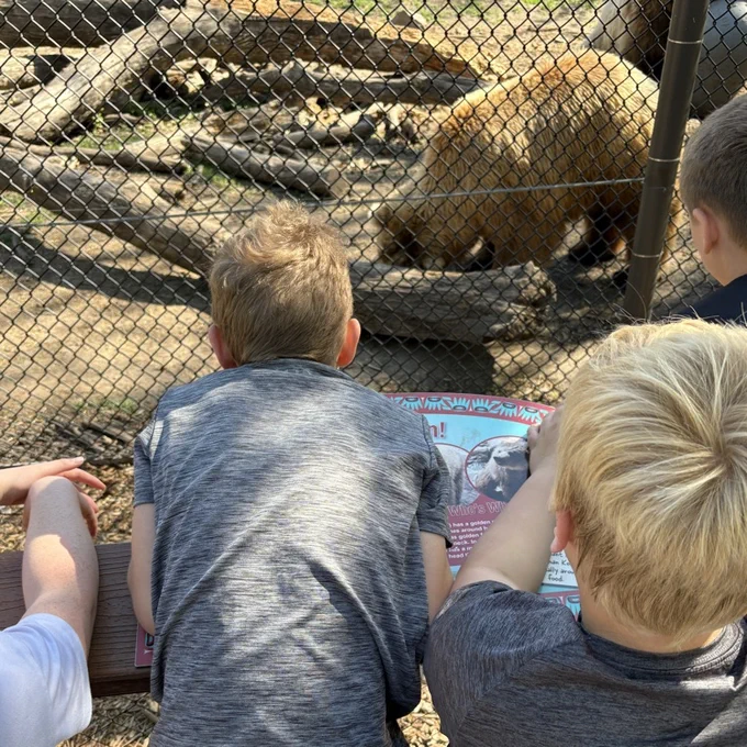 zoo