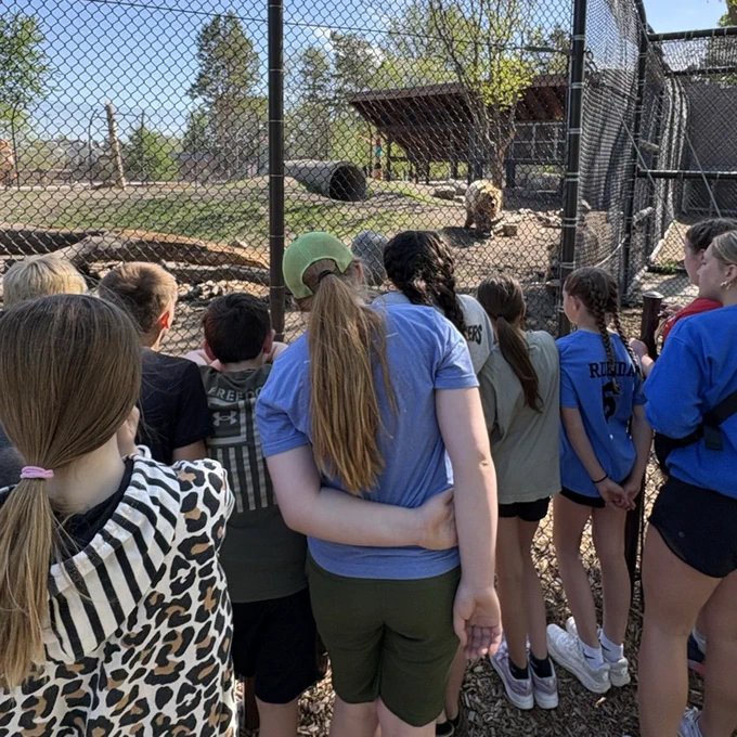 zoo