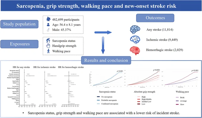 Graphic abstract in Tang and Huang et al.