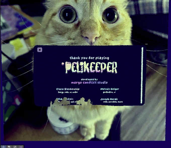 A picture of the pelikeeper credits with our cat cheeto staring into your soul in the background