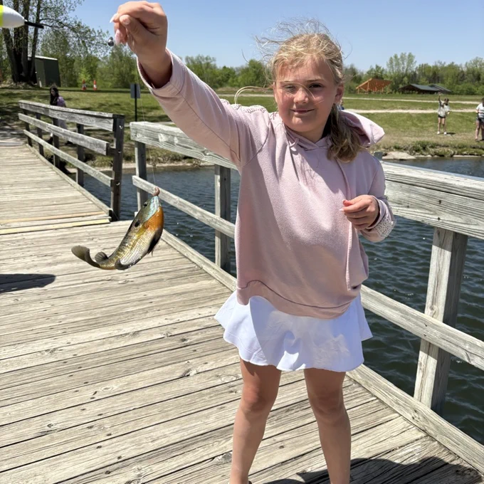 fish