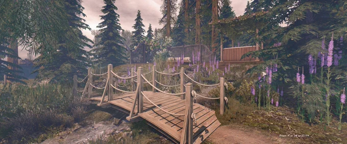 Loulou Forest - a lookout point