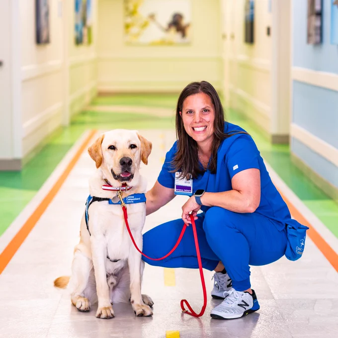 A woman in blue scrubs kneeling beside a smiling yellow Labrador wearing a service dog vest in a brightly lit hospital corridor.