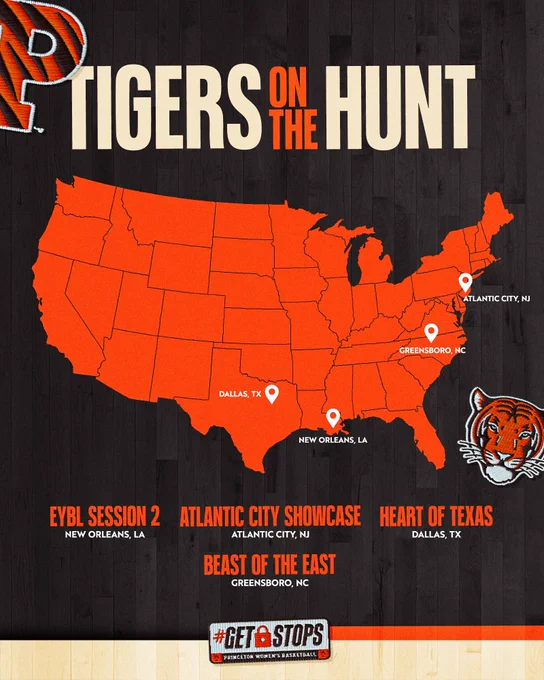 Tigers on the hunt