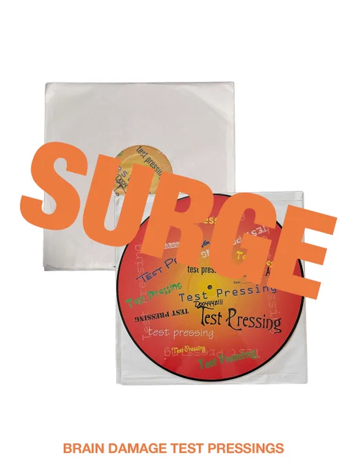 Test Pressings - "Brain Damage" single - vinyl