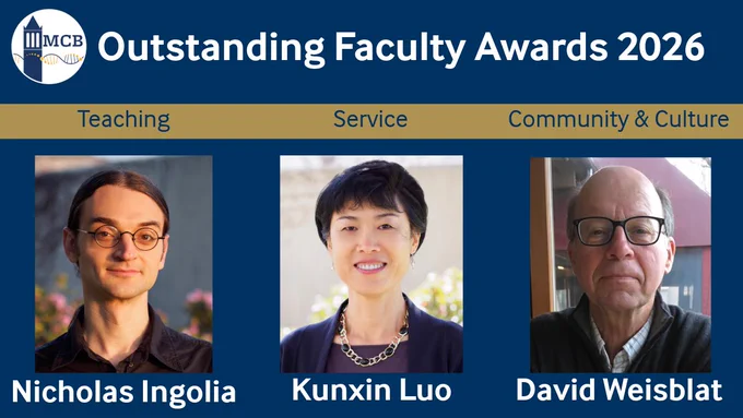 Nicholas Ingolia, Kunxin Luo & David Weisblat receive the 2026 MCB Outstanding Faculty Awards