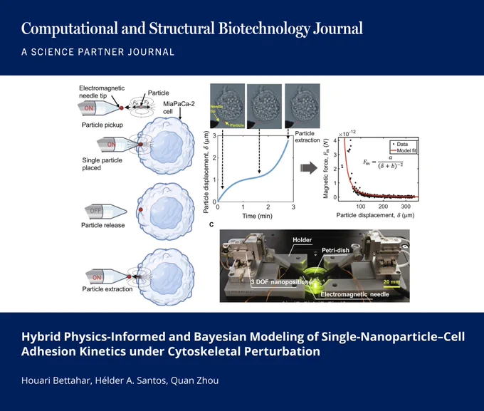 🔗 Hybrid Physics-Informed and Bayesian Modeling of Single-Nanoparticle–Cell Adhesion Kinetics under Cytoskeletal Perturbation. Computational and Structural Biotechnology Journal (CSBJ). DOI: https://doi.org/10.34133/csbj.0077

📚 CSBJ - A Science Partner Journal: https://spj.science.org/journal/csbj