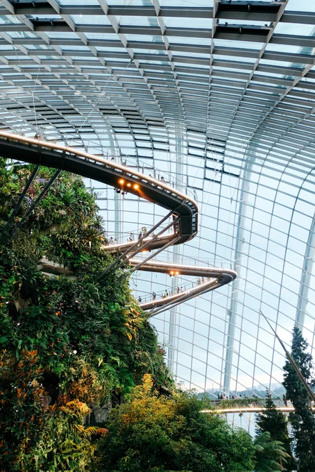 Cloud Forest, Gardens by the Bay, Singapore 🇸🇬