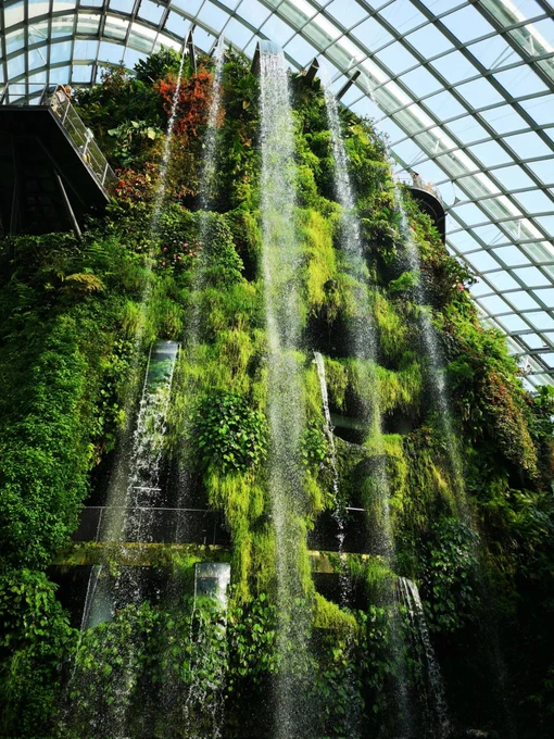 Cloud Forest, Gardens by the Bay, Singapore 🇸🇬