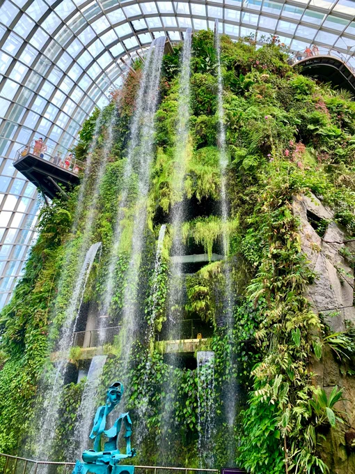 Cloud Forest, Gardens by the Bay, Singapore 🇸🇬