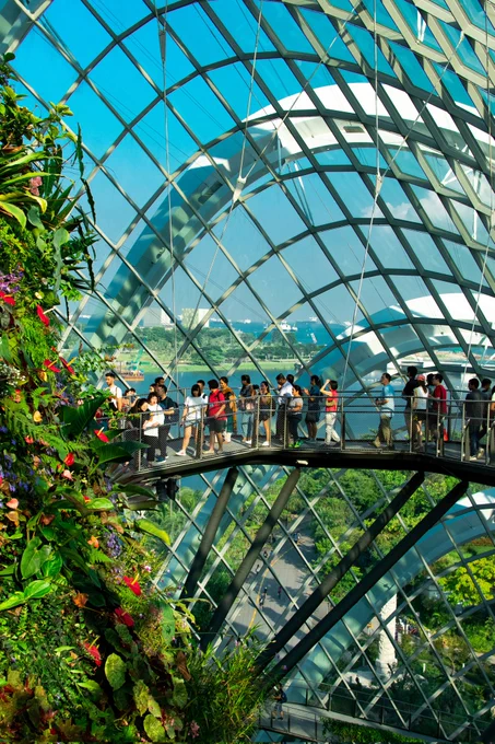 Cloud Forest, Gardens by the Bay, Singapore 🇸🇬
