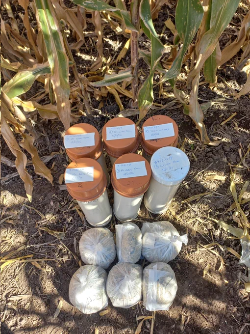 Microsilos con apertura a 40 días, material tal cual listo para llevar a laboratorio. 