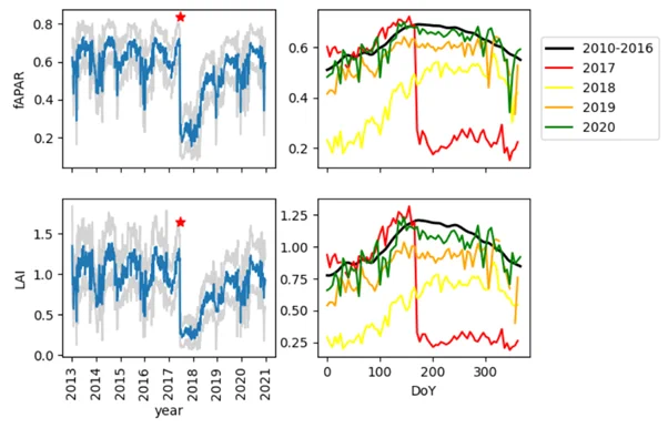 Four-panel plot for a Portugal forest fire: fAPAR and LAI time series show a sharp 2017 drop at the red star with gray uncertainty, plus seasonal cycles for 2017 and following years