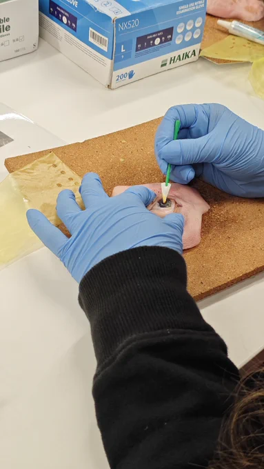 Close up eye in wet lab course 