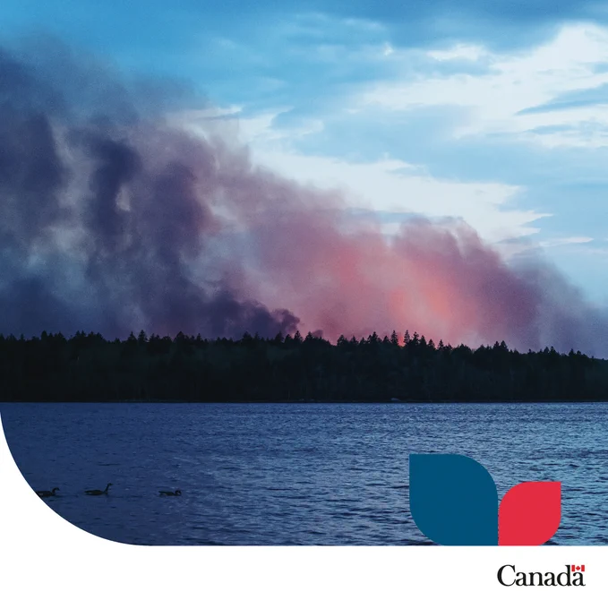 Une fumée épaisse en provenance d’un feu s’élève au-dessus d’une forêt. Un plan d’eau se trouve au premier plan, et deux feuilles, une bleue et une rouge, sont situées dans le coin inférieur droit.