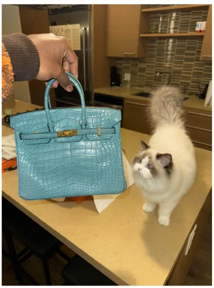 An Hermès Birkin bag that the defendant obtained for a co-conspirator's girlfriend.