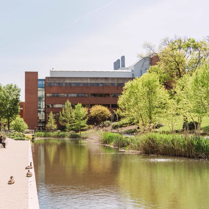 A serene pond with ducks in the foreground, bordered by a pathway and lush greenery. A modern brick and glass building stands in the background under a clear sky.