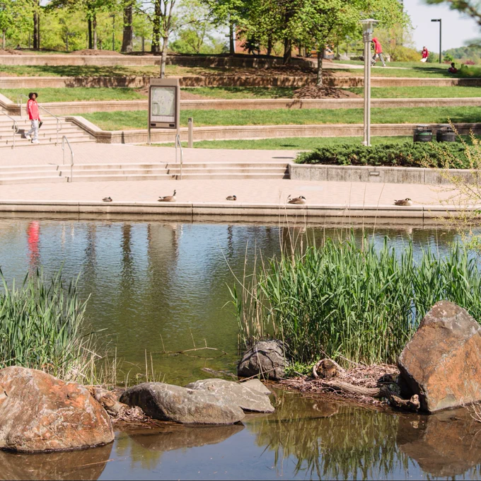 A serene park scene with a pond in the foreground surrounded by rocks and tall grass. Ducks are resting by the water’s edge. In the background, there are people walking along a wide pathway, and green, terraced grassy areas are visible. Trees with fresh, green leaves are scattered throughout the scene.