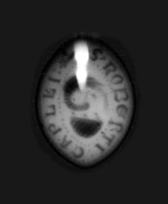x-ray of an oval-shaped seal matrix showing the image of the Pelican in her Piety - a bird pecking its breast over a nest containing three chicks.