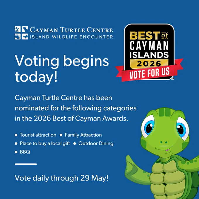 Graphic promoting voting for the Cayman Turtle Centre in the 2026 Best of Cayman Awards, featuring categories like tourist and family attraction.