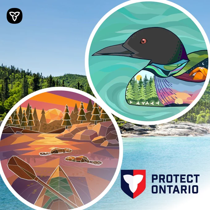 Images of the two stickers. Sticker one has a loon on it. Sticker two is of the bow of a canoe with two beavers swimming in front of it.
