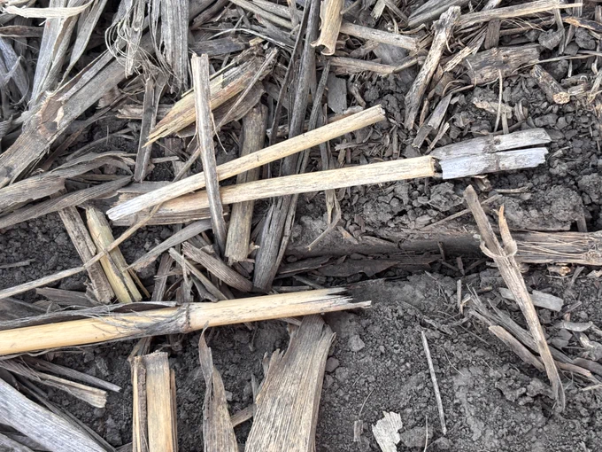 Sidewall compaction in a field 