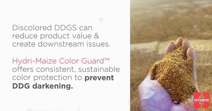 Text: "Discolored DDGS can reduce product value and create downstream issues. Hydri-Maize Color Guard offers consistent, sustainable color protection to prevent DDG darkening."