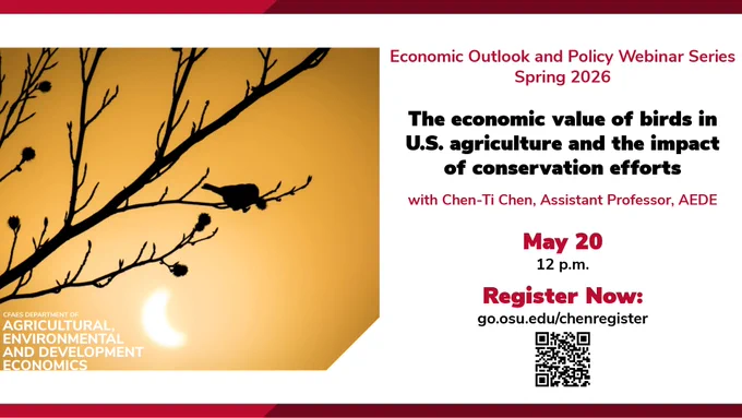 A promotional webinar flyer features a silhouette of a small bird perched on a branch against a warm golden-yellow sky, resembling sunrise or sunset. The right side of the flyer contains event details for the “Economic Outlook and Policy Webinar Series, Spring 2026.” The text announces a talk titled “The economic value of birds in U.S. agriculture and the impact of conservation efforts” with Dr. Chen‑Ti Chen, Assistant Professor in AEDE. The date reads May 20 at 12 p.m., with a registration link and the CFAES Department of Agricultural, Environmental and Development Economics logo at the bottom.