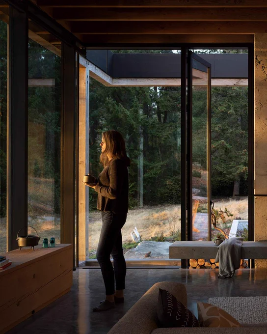 Woman holding a mug stands by floor-to-ceiling windows in a modern wood-and-glass home, looking out at a forested landscape.
