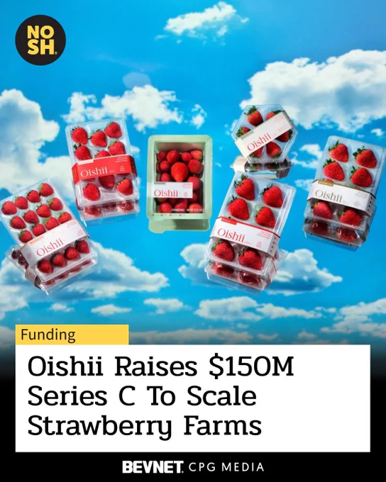 Oishii Raises $150M To Scale Strawberry Farms