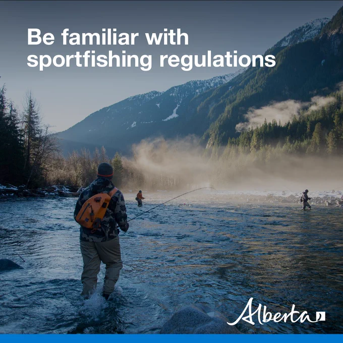 image depicts three anglers in waders knee-deep in a foggy mountain lake. Text reads Be familiar with sportfishing regulations with the white Alberta logo in the bottom right corner.