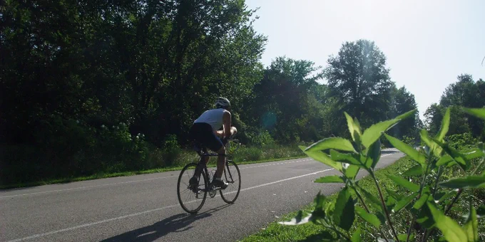 Cyclist riding on a sunlit road surrounded by green trees and plants on a clear day.
