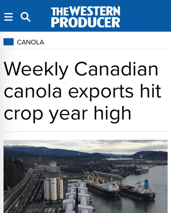 Article headline that reads: Weekly Canadian canola exports hit crop year high