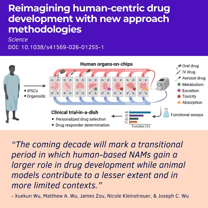 Infographic summarizing a Science article titled: "Reimagining human-centric drug development with new approach methodologies." The top section features a diagram of interconnected human organ-on-chip systems representing multiple organs linked by simulated blood flow. The graphic shows how iPSCs and organoids can be used to model drug metabolism, toxicity, excretion, and absorption in a “clinical trial-in-a-dish” approach for personalized drug selection and responder determination.

The lower section contains a quote stating: “The coming decade will mark a transitional period in which human-based NAMs gain a larger role in drug development while animal models contribute to a lesser extent and in more limited contexts.” The quote is attributed to Xuekun Wu, Matthew A. Wu, James Zou, Nicole Kleinstreuer, and Joseph C. Wu. The DOI 10.1038/s41569-026-01255-1 is displayed at the top.