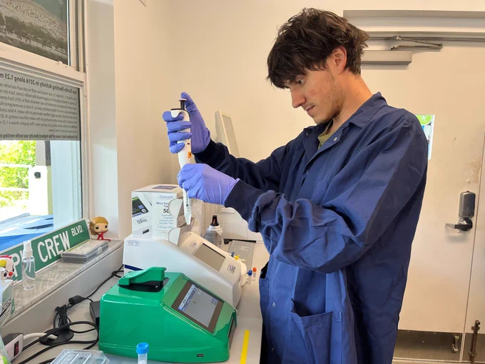 A graduate student in the Wise Laboratory prepares a sample to load onto the CellDrop Automated Cell Counter