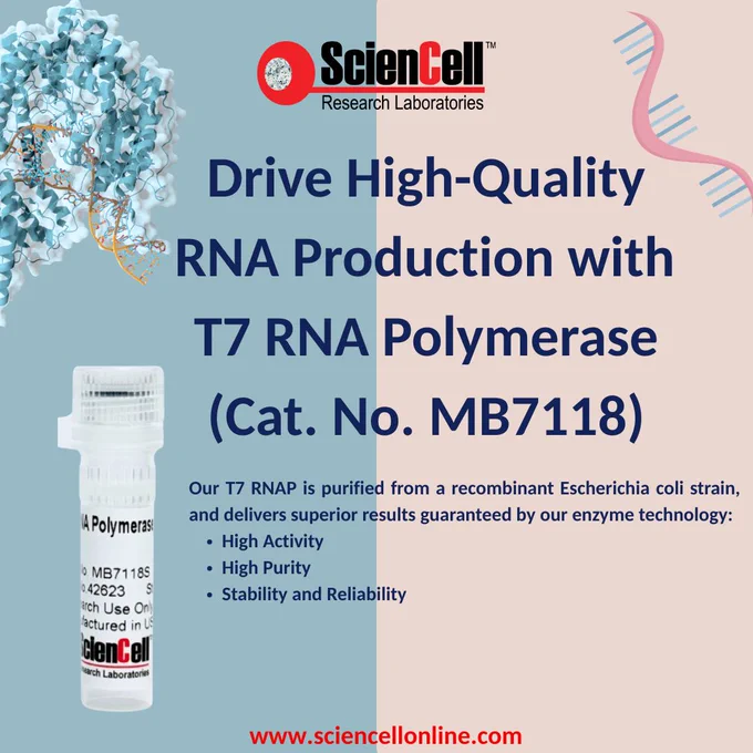 🧬 Drive High-Quality RNA Production with Confidence

Reliable in vitro transcription starts with the right enzyme. ScienCell’s T7 RNA Polymerase (Cat. No. MB7118) is purified from a recombinant E. coli strain to support high-yield, high-quality RNA synthesis for your research workflows.

✔️ High activity for efficient transcription
✔️ High purity for dependable performance
✔️ Stability & reliability for consistent results

Power your RNA research with enzyme technology designed to deliver reproducible outcomes.

🔗 Learn more: https://sciencellonline.com/en/t7-rna-polymerase/

#ScienCell #RNASynthesis #TRNAPolymerase #InvitroTranscription #RNAResearch #MolecularBiology #LifeScienceResearch #BiotechResearch #CellBiology #RNAProduction #LabResearch #Biotechnology #ScientificResearch #ResearchTools #Genomics #Transcriptomics #LaboratoryResearch #Biotech
