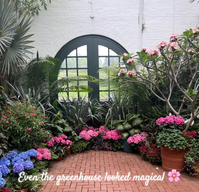Greenhouse filled with tropical plants, blooming pink and blue hydrangeas, and a large arched window letting in natural light.