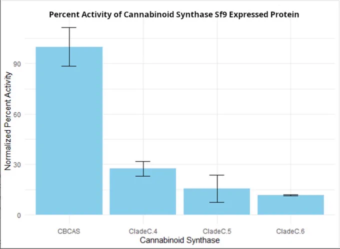 Functional characterization of recombinant cannabinoid oxidocyclases. Purified proteins, secreted from sf9 cells infected with recombinant baculovirus, were functionally characterized. All assays were supplemented with CBGA precursor. Activity presented as percent of total CBGA converted was normalized against canonical CBCAS activity at 100% functionality. With CBCA as the dominant product of these enzymes, comparative analysis of activity for Clade C.4, Clade C.5, and Clade C.6 was carried out against CBCAS. In assays with purified protein from sf9 expression lower activity of CBCA production was observed in Clade C recombinant enzymes. Clade C.4 comparative activity was 26% of CBCAS, while Clade C.5 and Clade C.6 were 16% and 11%, respectively, of CBCAS.