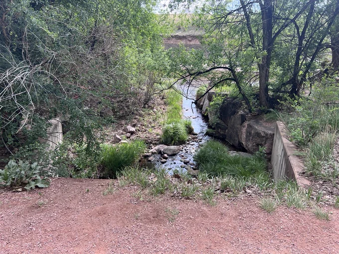 A narrow, rocky stream flows through a lush, green forested area. Tall trees and dense vegetation surround the waterway. A dirt path and simple stone bridge cross over the stream. The setting is tranquil and natural.