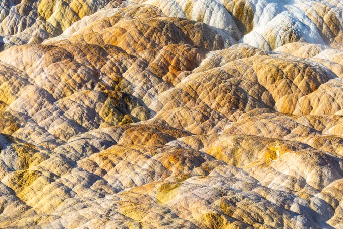 A close-up of layers of colorful rocky terraces, with colors ranging from stark white, yellow, to orange. These terraces are a part of a larger hydrothermal feature called Palette Spring.