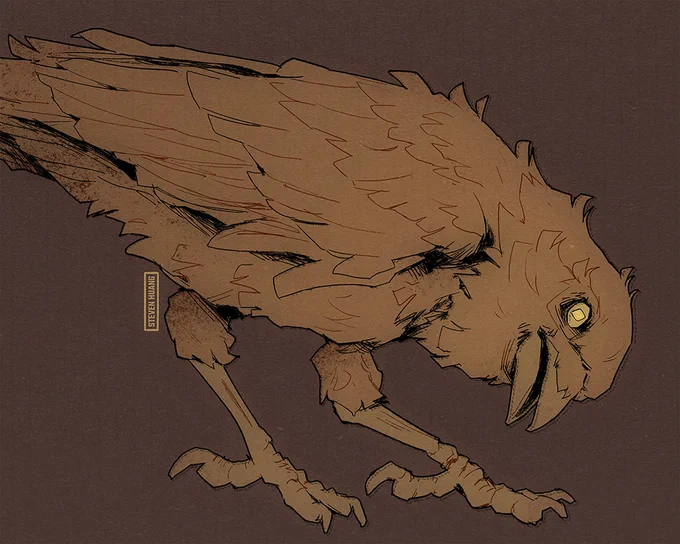 A crow, staring at the viewer.