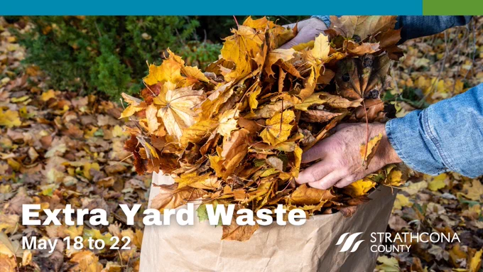 Hands placing a large bundle of dry autumn leaves into a brown paper yard waste bag outdoors.