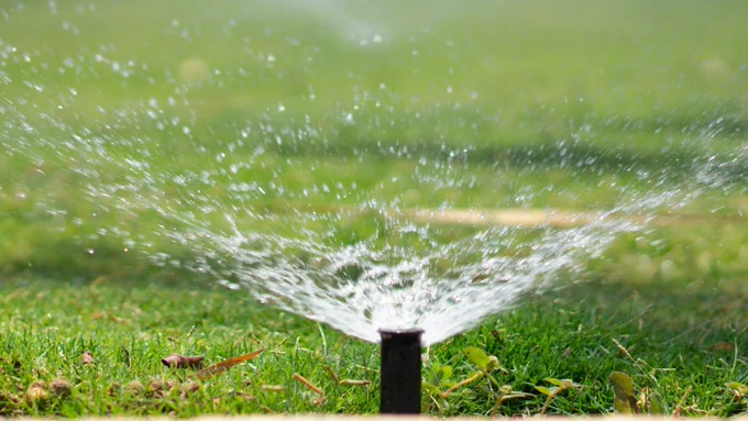 A sprinkler sprays water on a green lawn
