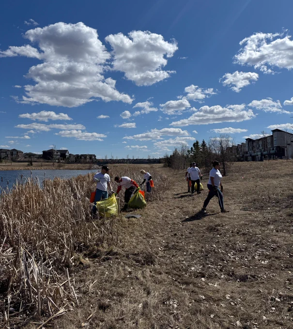Volunteers collecting trash along a riverside under a blue sky. 