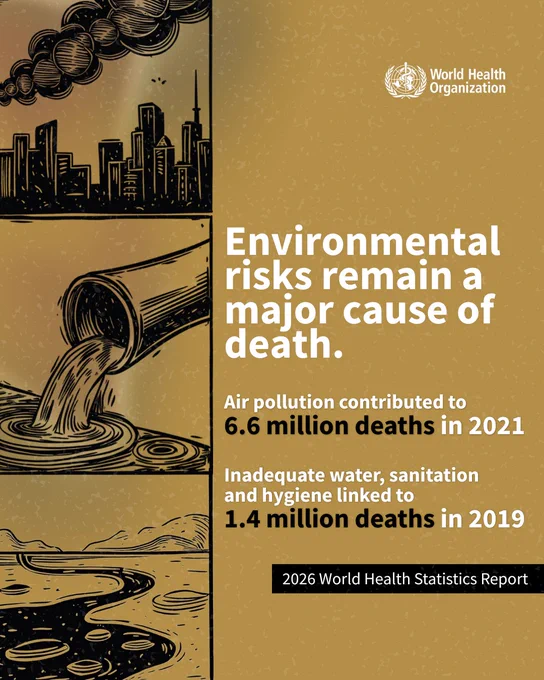 Environmental risks remain a major cause of death.
Air pollution contributed to 6.6 million deaths in 2021
Inadequate water, sanitation and hygiene linked to 1.4 million deaths in 2019

Image shows illustrations of air and water pollution against a dull brown background.