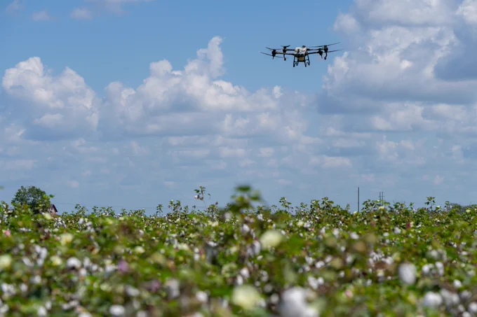 A drone flies above a field of cotton plants under a partly cloudy blue sky.