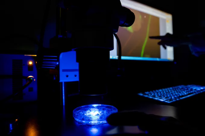 A dark laboratory setting with a microscope focused on a Petri dish emitting a blue glow. A glowing computer keyboard and screen displaying microscopic images are in the background. A hand is pointing at the screen.
