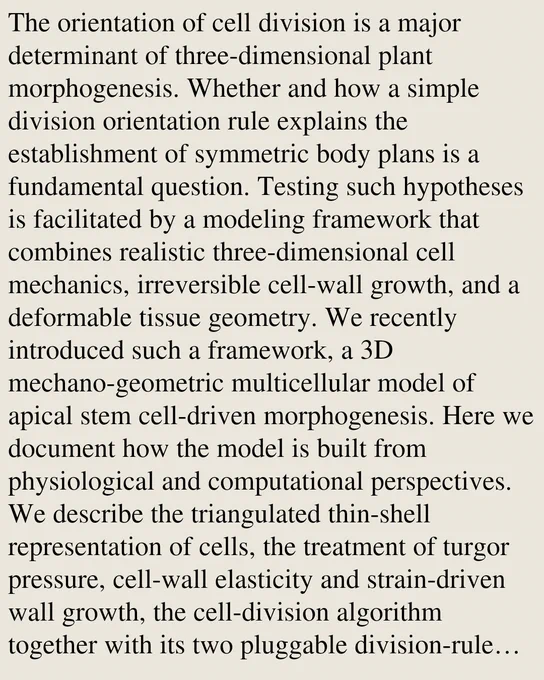 The orientation of cell division is a major determinant of three-dimensional plant morphogenesis. Whether and how a simple division orientation rule explains the establishment of symmetric body plans is a fundamental question. Testing such hypotheses is facilitated by a modeling framework that combines realistic three-dimensional cell mechanics, irreversible cell-wall growth, and a deformable tissue geometry. We recently introduced such a framework, a 3D mechano-geometric multicellular model of apical stem cell-driven morphogenesis. Here we document how the model is built from physiological and computational perspectives. We describe the triangulated thin-shell representation of cells, the treatment of turgor pressure, cell-wall elasticity and strain-driven wall growth, the cell-division algorithm together with its two pluggable division-rule implementations, and the remeshing operations that keep the triangulation well-conditioned as cells grow, divide, and deform. The aim of this pap