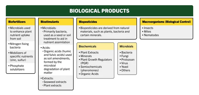 Biological products types listed within major groups including biofertilizers, biostimulants, biopesticides, biochemicals, microbials, and microorganisms. 